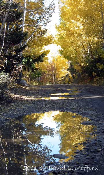 Mountain Road with Puddle